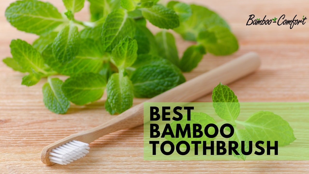 You are currently viewing The 12 Best Bamboo Toothbrushes for 2021 | Reviews & Ultimate Buyer’s Guide