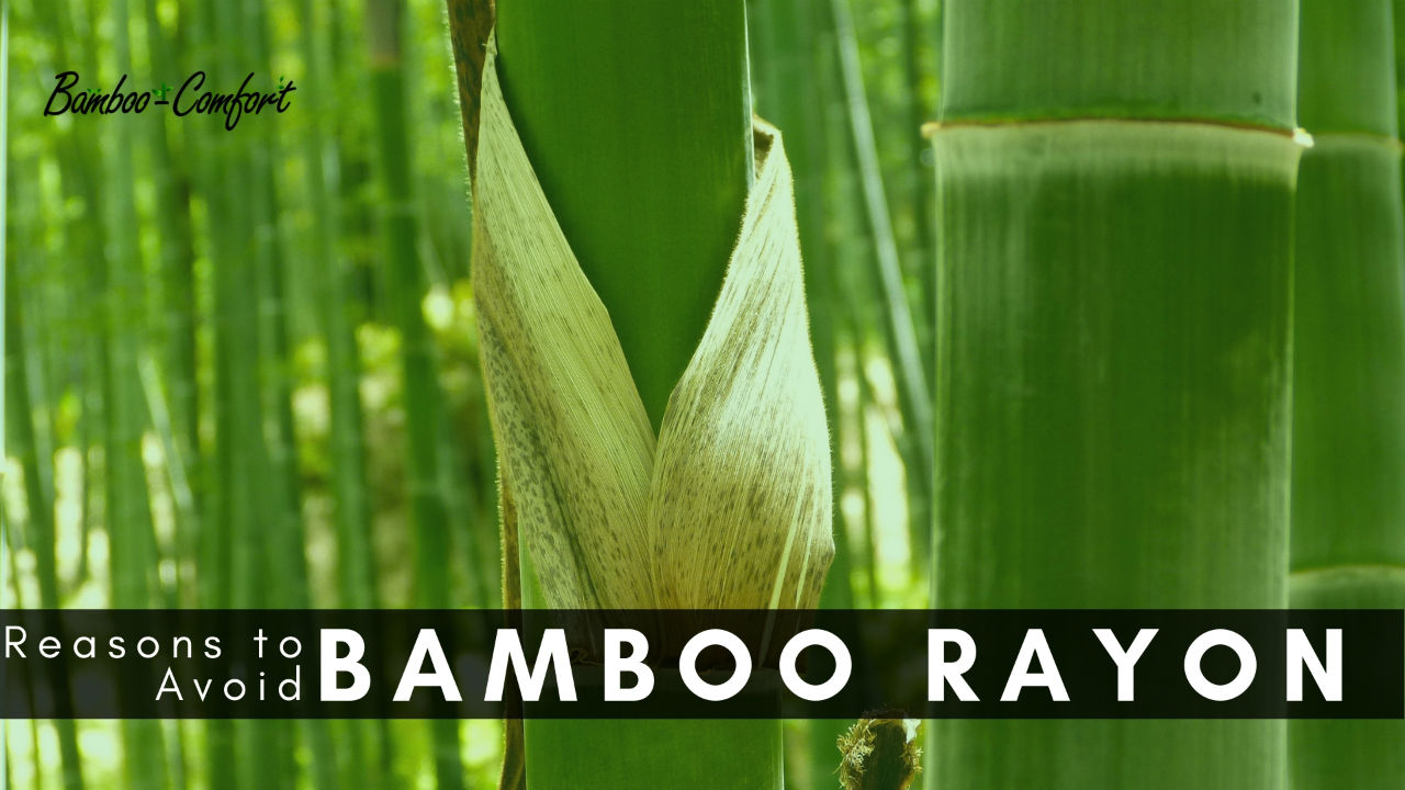 Top 3 Reasons to Avoid Buying Bamboo Rayon Sheets How to