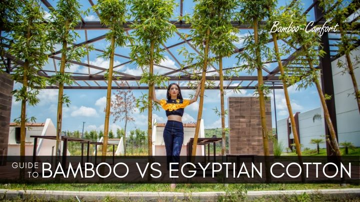 Read more about the article Bamboo Sheets vs Egyptian Cotton Sheets