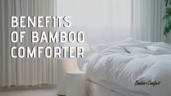Best Bamboo Comforter Benefits