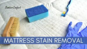 Read more about the article 5 Stain Removal Tips to Keep Your Bamboo Mattress Clean