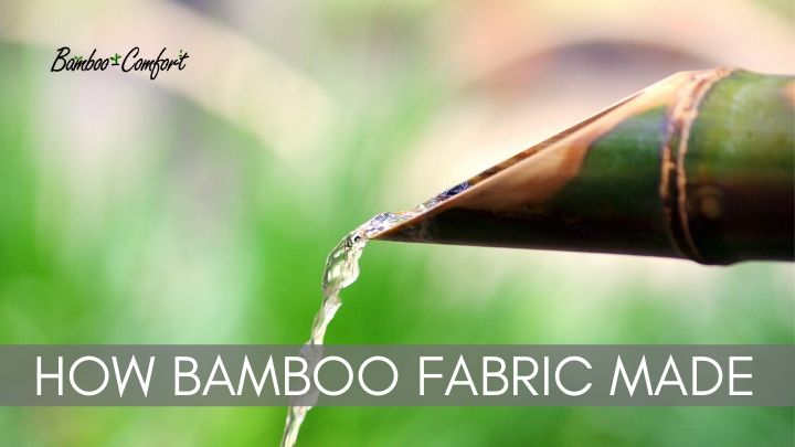 Read more about the article How Bamboo Fabric is Made