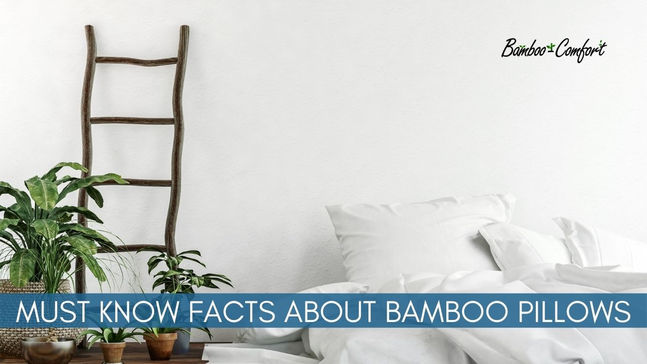 Read more about the article 9 Things You Need to Know About Bamboo Pillows