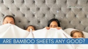 Read more about the article Are Bamboo Sheets Good? 7 Things You Need to Know!