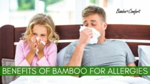 Read more about the article Bamboo Mattress Protector for Allergies: 5 Surprising Benefits