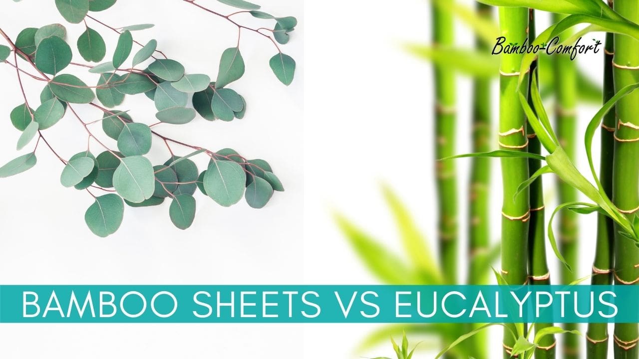 You are currently viewing Which is Better? Bamboo Vs Eucalyptus Sheets
