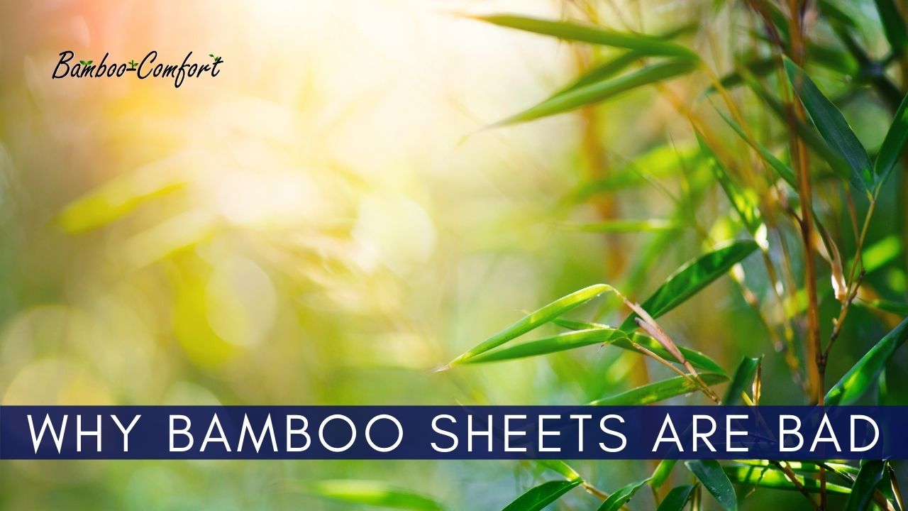 You are currently viewing 3 Reasons to Avoid Bamboo Sheets!
